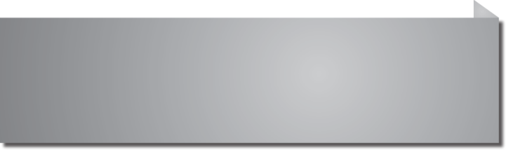 Phoenix Wedding invitation card